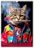 Crazy gangster cats (Wall Calendar 2026... - Bild 8