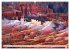 Bryce Canyon, Sunrise and Sunset points... - Bild 14