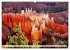 Bryce Canyon, Sunrise and Sunset points... - Bild 7
