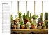 Cacti Wonderland (Wall Calendar 2026... - Bild 3