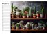 Cacti Wonderland (Wall Calendar 2026... - Bild 4