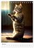 Meow Yoga (Desk Calendar 2026 DIN A5... - Bild 13