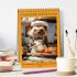Cooking with animal humor (Desk... - Bild 2