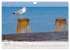Eastbourne 2026 (Wall Calendar 2026 DIN... - Bild 13