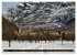 Neige sur les Hautes Alpes (Calendrier... - Bild 10