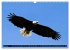 PLUMES LÉGÈRES. Oiseaux du Monde... - Bild 14