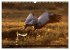 PLUMES LÉGÈRES. Oiseaux du Monde... - Bild 3