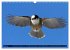 PLUMES LÉGÈRES. Oiseaux du Monde... - Bild 9