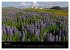 Iceland 2026 (Wall Calendar 2026 DIN A3... - Bild 11