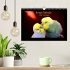 Budgie Calendar - UK Version (Wall... - Bild 2