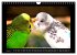 Budgie Calendar - UK Version (Wall... - Bild 11