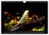 Budgie Calendar - UK Version (Wall... - Bild 14