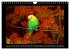 Budgie Calendar - UK Version (Wall... - Bild 15