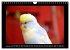 Budgie Calendar - UK Version (Wall... - Bild 5