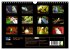 Budgie Calendar - UK Version (Wall... - Bild 6