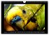 Budgie Calendar - UK Version (Wall... - Bild 9