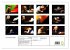 Jazz Pianists 2026 (High Quality... - Bild 5
