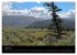 From Pacific to the Mountains 2026... - Bild 13