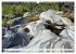 Spectacular Rock Formations in the... - Bild 11