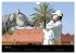 Les chevaux du Maroc (Calendrier mural... - Bild 14