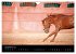 Les chevaux du Maroc (Calendrier mural... - Bild 15