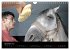 Les chevaux du Maroc (Calendrier mural... - Bild 5