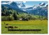 Landscapes of Swiss Alps (Wall Calendar... - Bild 7