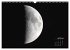Phases de la lune (Calendrier mural... - Bild 10