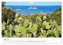 Bays of Sardinia (Wall Calendar 2026... - Bild 11