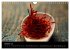 SPICES (Wall Calendar 2026 DIN A4... - Bild 3