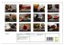SPICES (Wall Calendar 2026 DIN A4... - Bild 6