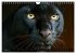 Big Cats ¿ Faces of the most beautiful... - Bild 14