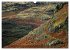 Wild Beauty of Cumbria (Wall Calendar... - Bild 4