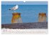Eastbourne 2026 (Wall Calendar 2026 DIN... - Bild 13