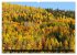 GASPÉSIE. Parc National du Québec... - Bild 14
