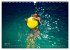 WATERPASSION (Wall Calendar 2026 DIN A3... - Bild 13