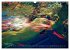 WATERPASSION (Wall Calendar 2026 DIN A3... - Bild 14