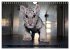 GROSSKATZEN GANZ KLEIN (Wandkalender... - Bild 13