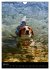 Beagles in action (Wall Calendar 2026... - Bild 13