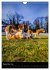 Beagles in action (Wall Calendar 2026... - Bild 15