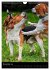 Beagles in action (Wall Calendar 2026... - Bild 4