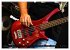 BASS GUITARS put into the spotlight... - Bild 9