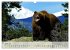 Canada Impressions (Wall Calendar 2026... - Bild 12