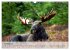Canada Impressions (Wall Calendar 2026... - Bild 3