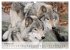 Canada Impressions (Wall Calendar 2026... - Bild 8