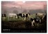 Glastonbury Tor (Wall Calendar 2026 DIN... - Bild 15