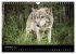 J'ai vu le loup (Calendrier mural 2026... - Bild 15