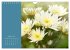 Vibrancy of flowers (Wall Calendar 2026... - Bild 3