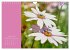 Vibrancy of flowers (Wall Calendar 2026... - Bild 7
