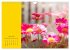 Vibrancy of flowers (Wall Calendar 2026... - Bild 9